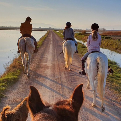 Paseo a caballo por el Delta Del Ebro